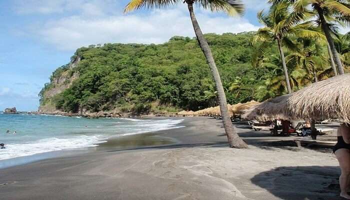 Anse Chastanet In St. Lucia
