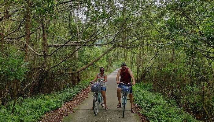 At Viet Hai Village, Cat Ba Islands