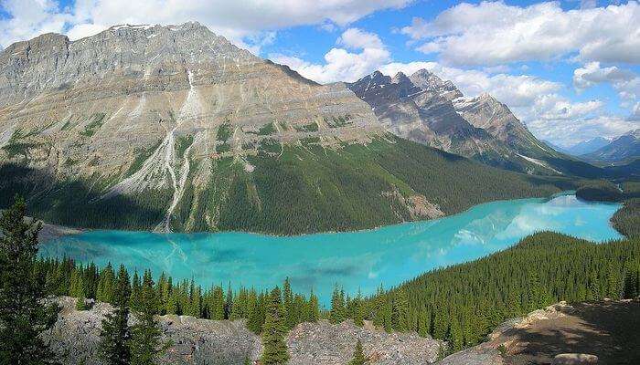 Banff National Park