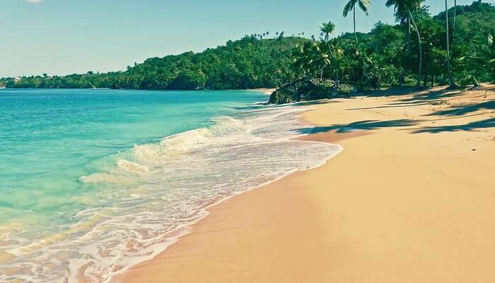 Beach At Tiger Island