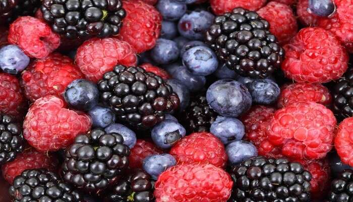 Berry Picking