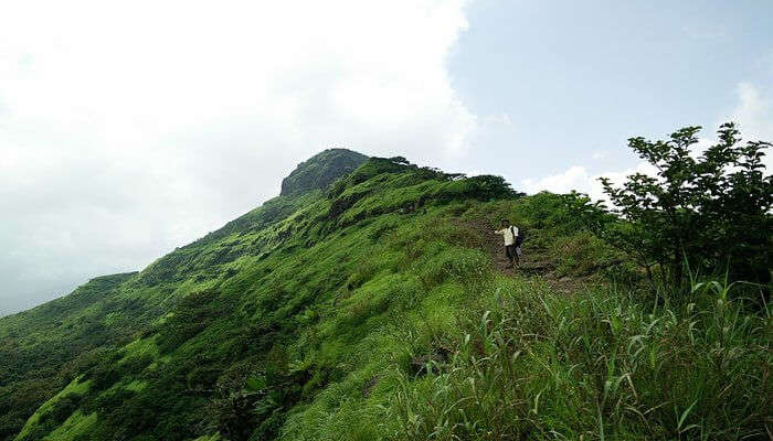 Best Time For Paragliding In Kamshet