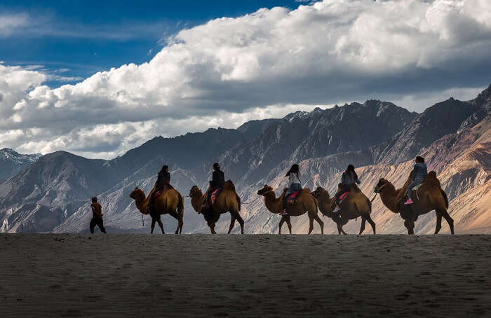 things to do in Nubra valley