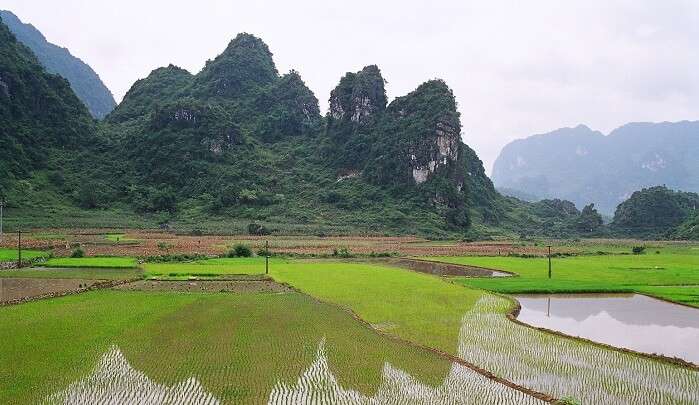 mountain hiking in Vietnam