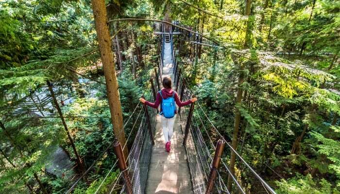 Capilano Suspension Bridge