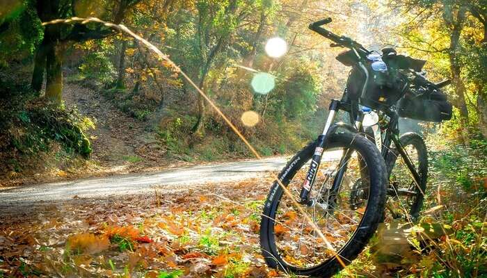  Cycling in City Creek Canyon Road