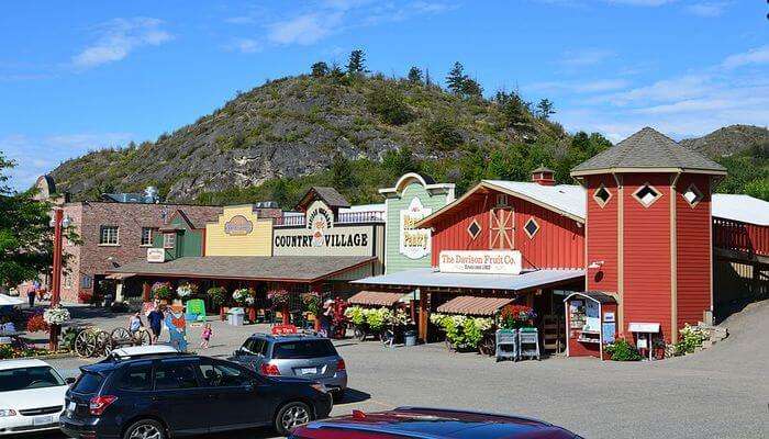 Davison Orchards