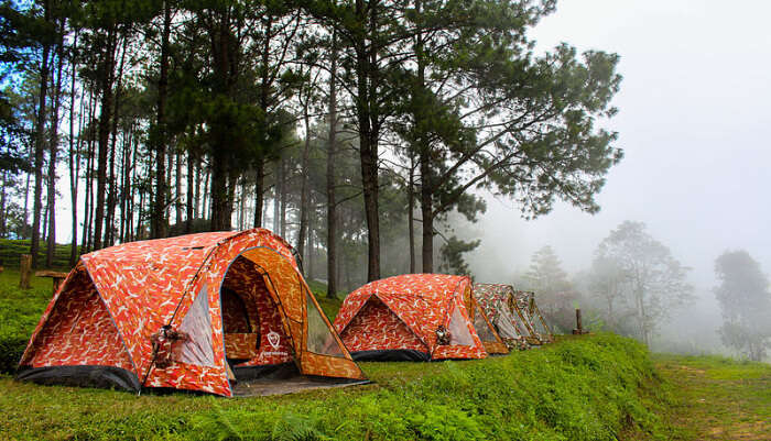 Camping at Doi Ang Khang