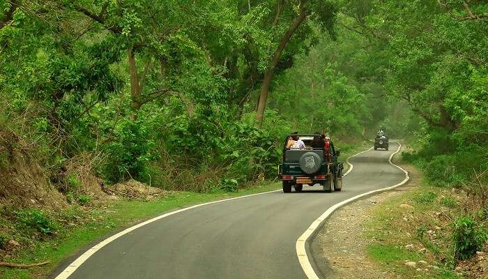 top things to do in Jim Corbett in monsoon