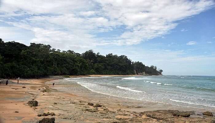 Explore the Impressive Biodiversity at Neil Island