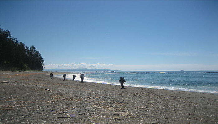 Hiking the West Coast Trail is one of the best things to do in British Columbia