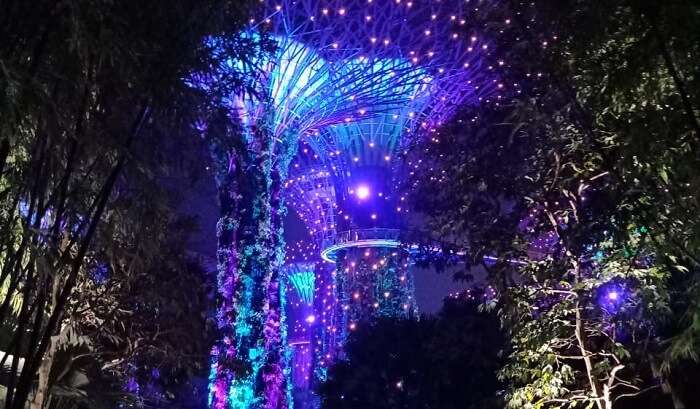 gardens by the bay light show