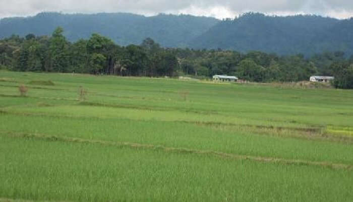 Jampui Hills In Tripura