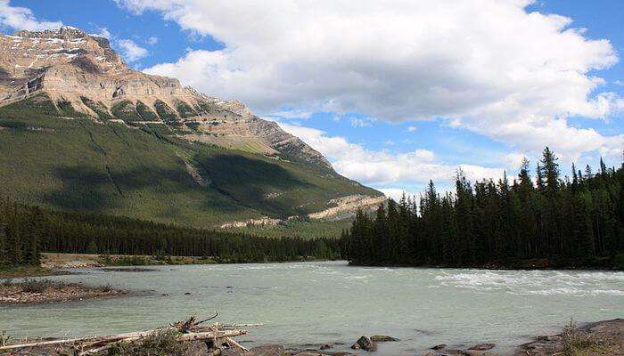 Jasper National Park