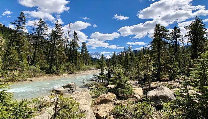 Johnston Canyon