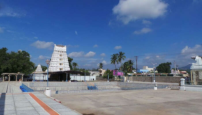 Visit one of the most popular temples in Tirupati at Kalyana Venkateswara Temple