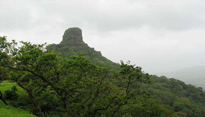 Karnala Fort View