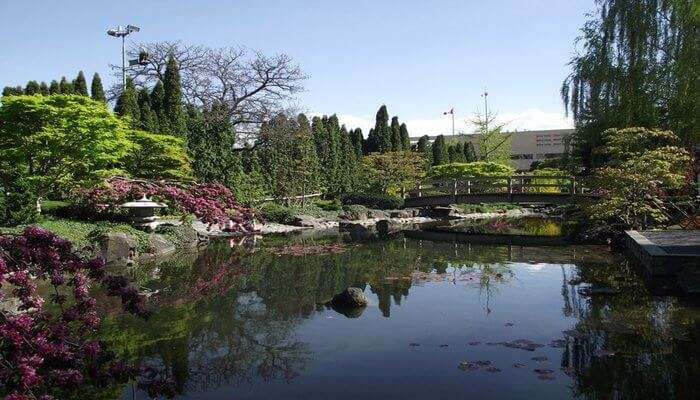 japanese garden