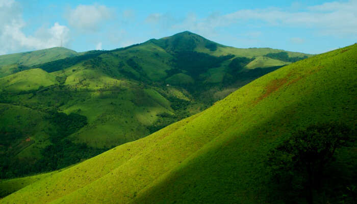 A Green Hill in the Western Ghats
