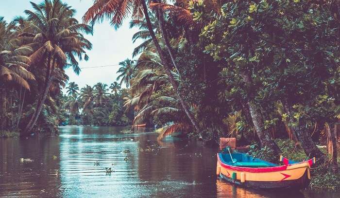 Kerala Best Time To Visit
