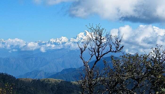 Sikkim Wildlife: 8 National Parks And Sanctuaries To Witness It