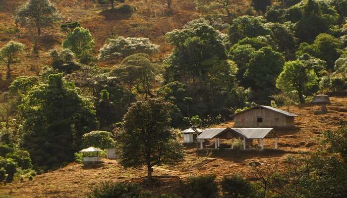 Head To The First Green Village Of India, Khonoma