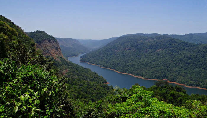 The Green Western Ghats
