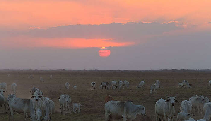 sunset view 