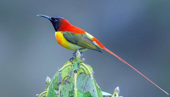 Maenam Wildlife Sanctuary