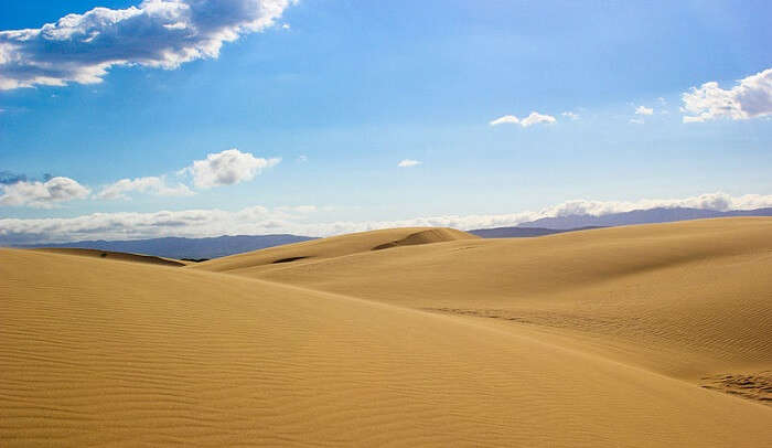 beautiful desert