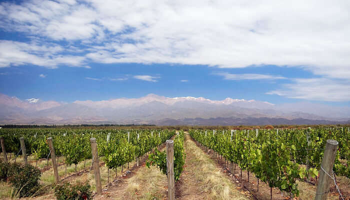 Mendoza Town in Argentina