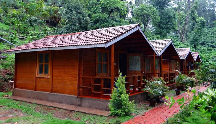 Farm Stay in Nandi Hills