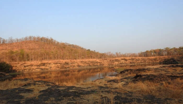 Wildlife sanctuary is an amazing trail