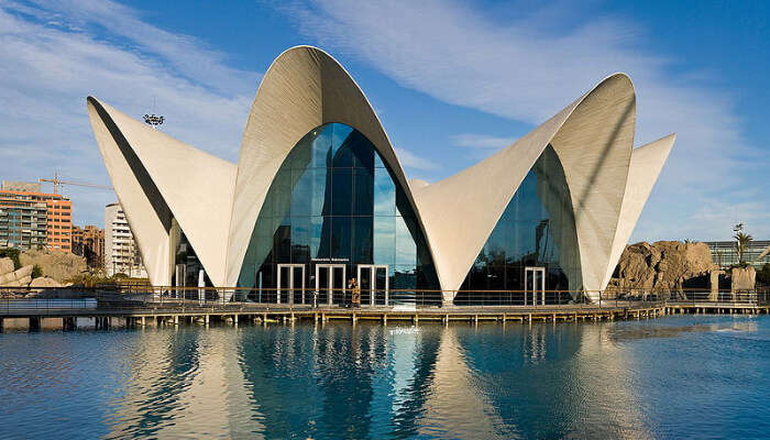 Oceanogràfic Valencia in Spain