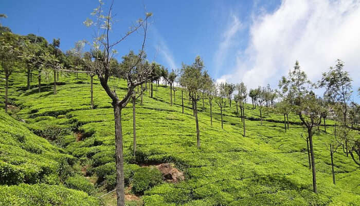 Ooty Hill station in Salem