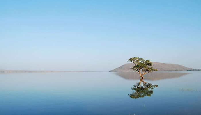 Pakhal Lake in Telangana