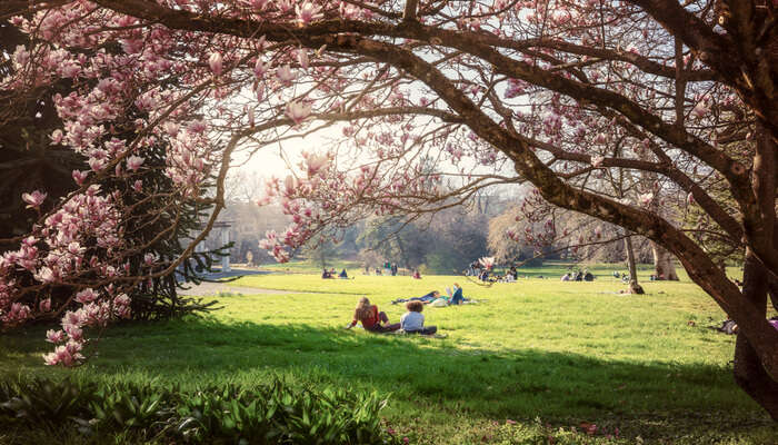 Parc De La Grange