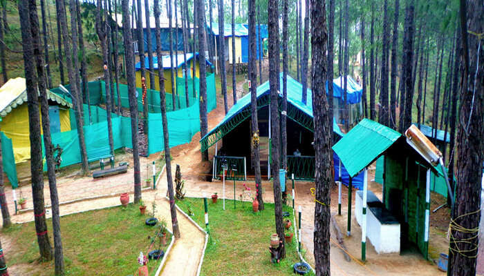 Pine Hills Eco Camp