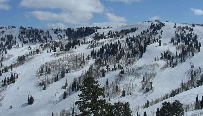 Powder Mountain