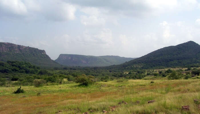 valley in Ranthambore