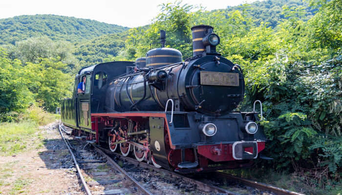 Steam Train