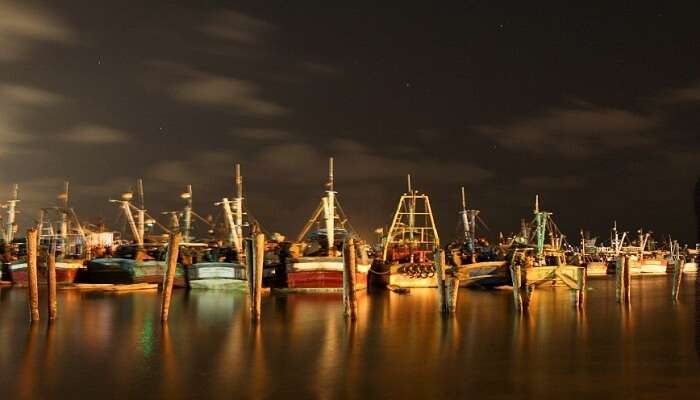 Royapuram Fishing Harbour