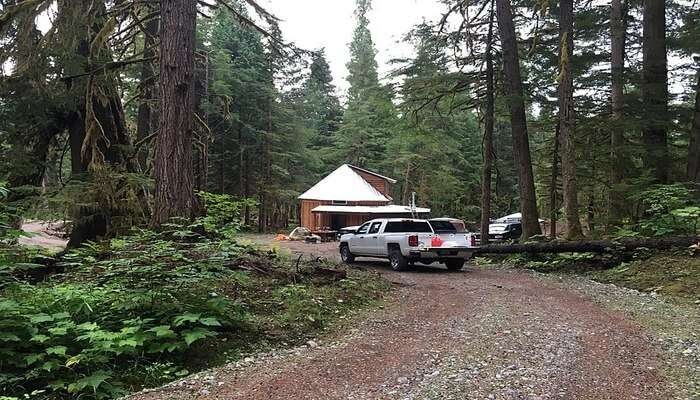 safari at the Great Bear Rainforest