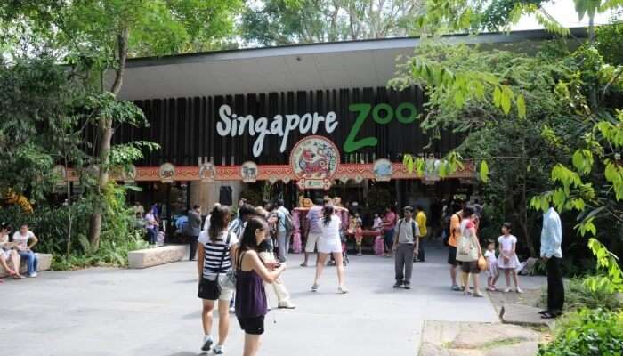 people standing in front of Singapore Zoo