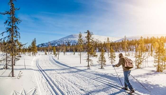 skiing enthusiast