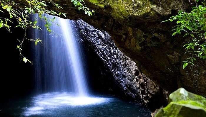 Springbrook National Park