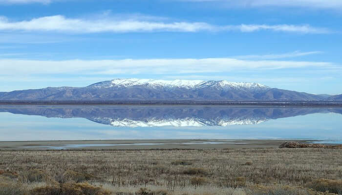 Swimming In Antelope Island State Park view