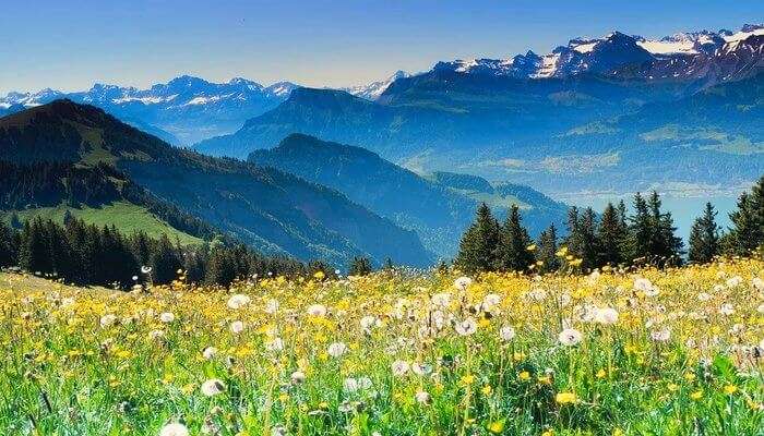 Switzerland Valley View