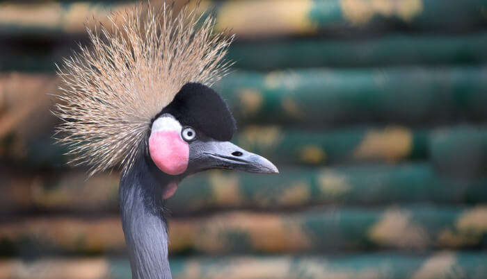 National Park in Bangalore