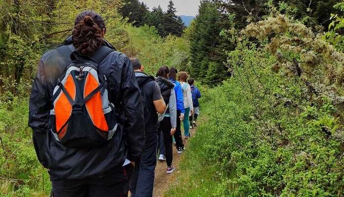 Trekking At Laitlum Canyon